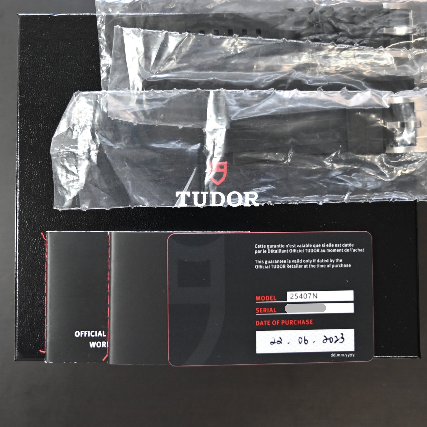 【TUDOR】チューダー PELAGOS39 25407N 未使用品