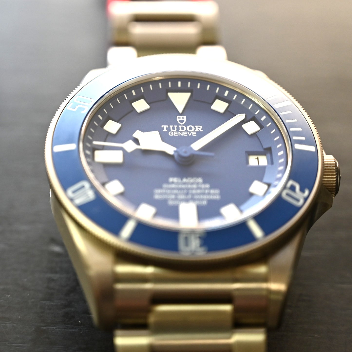 【TUDOR】チューダーぺラゴス 25600TB 未使用